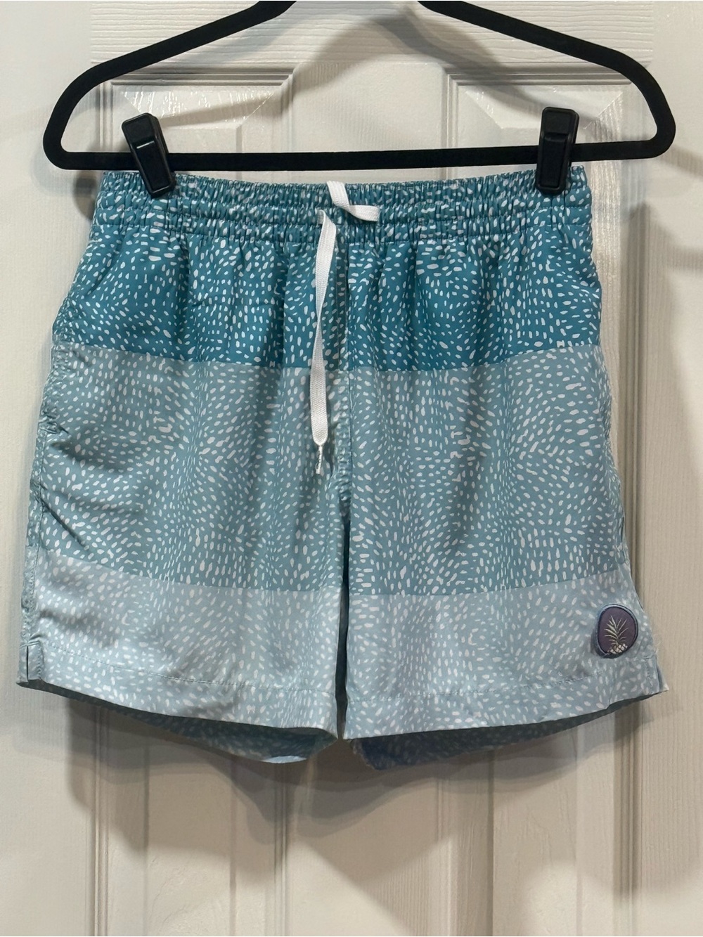 chubbies Aqua and Light Aqua Patterned Swim Trunks